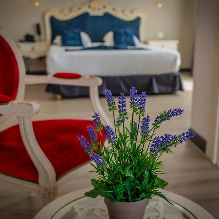Alexain Hotel Restaurant & Wellness - Colmar Ouest 特鲁瓦埃皮 外观 照片