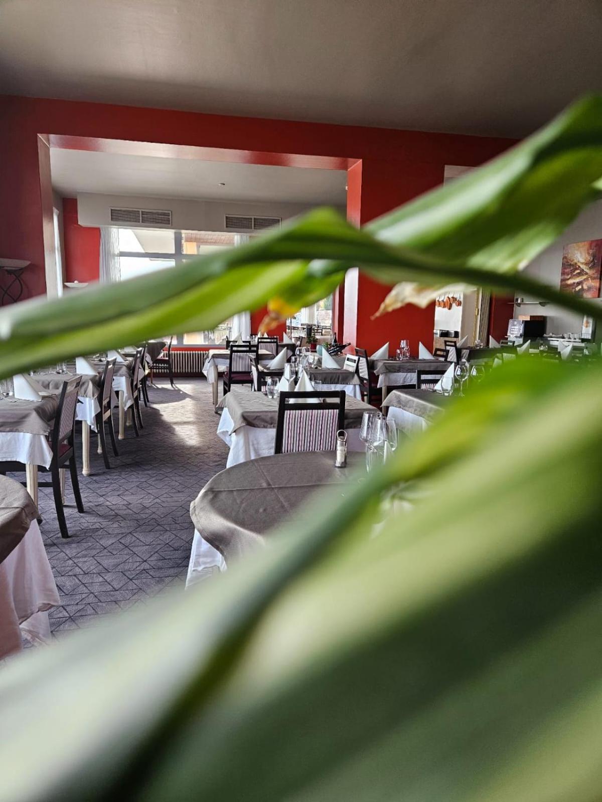 Alexain Hotel Restaurant & Wellness - Colmar Ouest 特鲁瓦埃皮 外观 照片