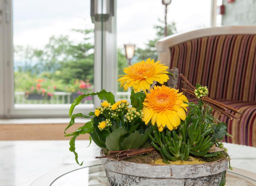 Alexain Hotel Restaurant & Wellness - Colmar Ouest 特鲁瓦埃皮 外观 照片