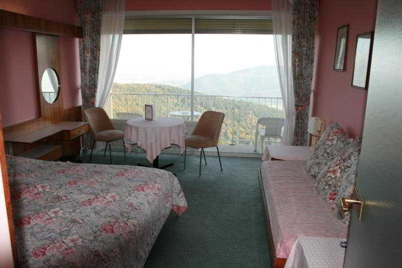 Alexain Hotel Restaurant & Wellness - Colmar Ouest 特鲁瓦埃皮 客房 照片